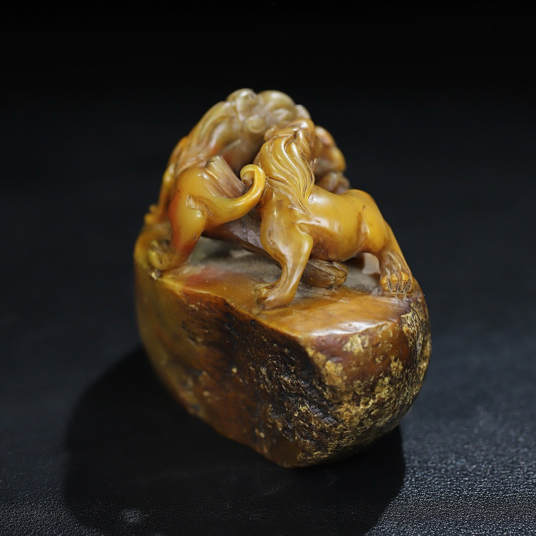 Chinese Antique Shoushan Shiyuan Stone Chihu Button Seal