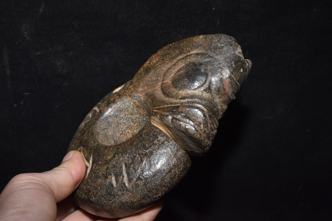 Chinese Antique Old Jade Pig Dragon
