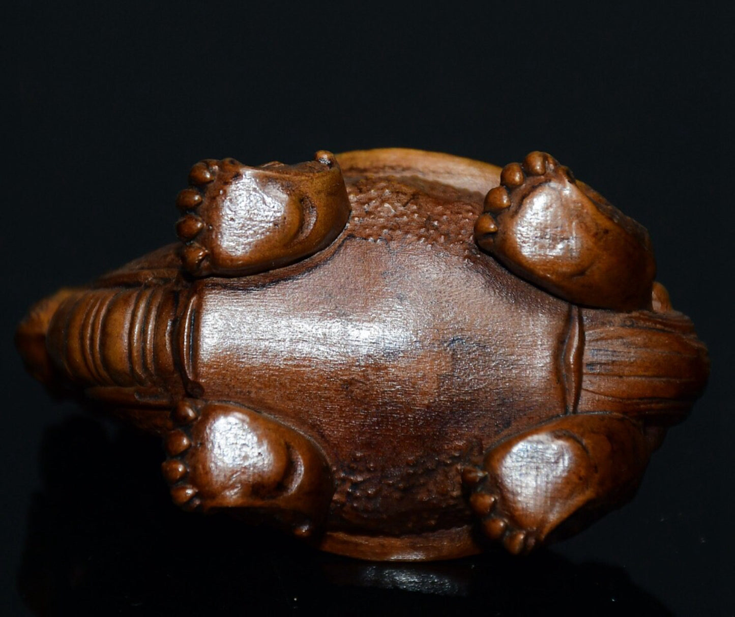 Chinese antique small leaf boxwood dragon turtle ornament