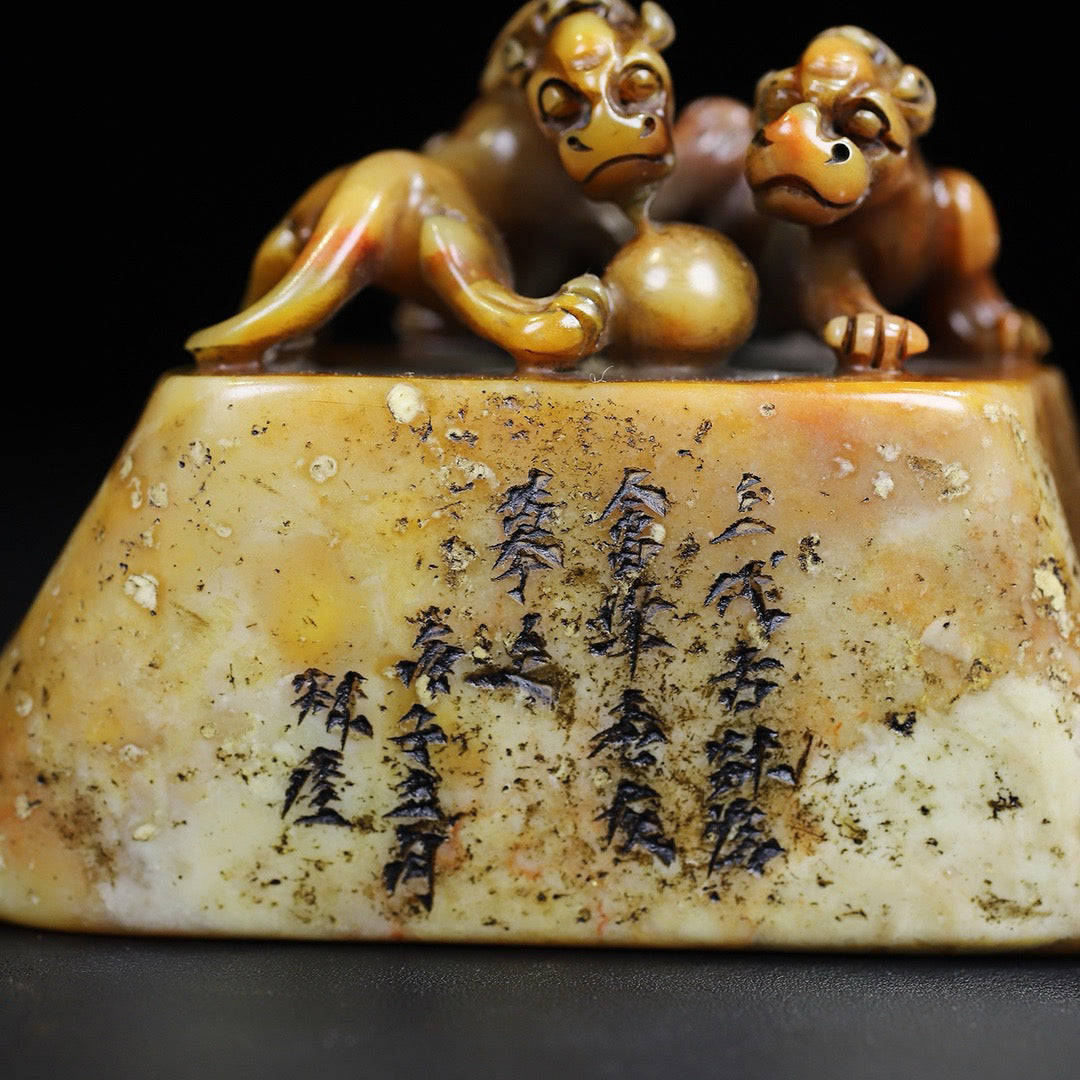 Shoushan Shiyuan Shichi Tiger Dragon Seal