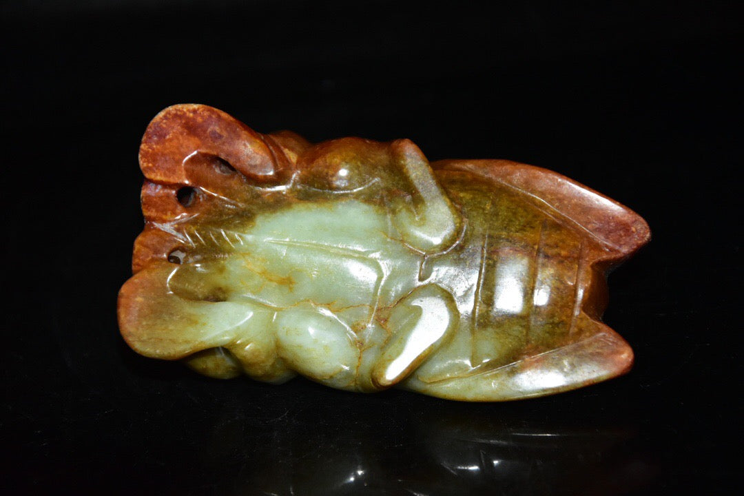 Chinese antique river jade cicada