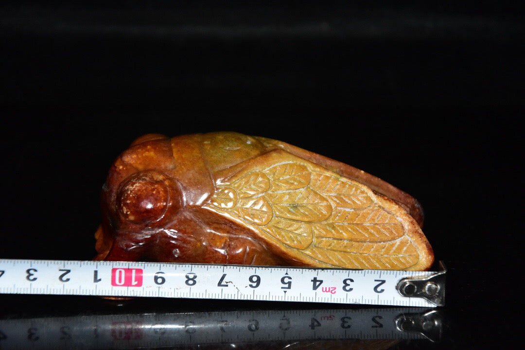 Chinese antique river jade cicada