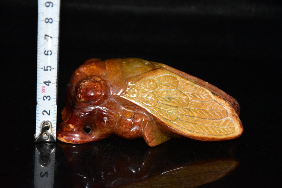 Chinese antique river jade cicada