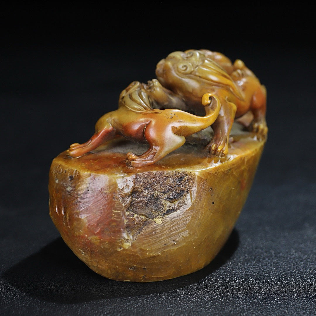 Chinese Antique Shoushan Shiyuan Stone Chihu Button Seal