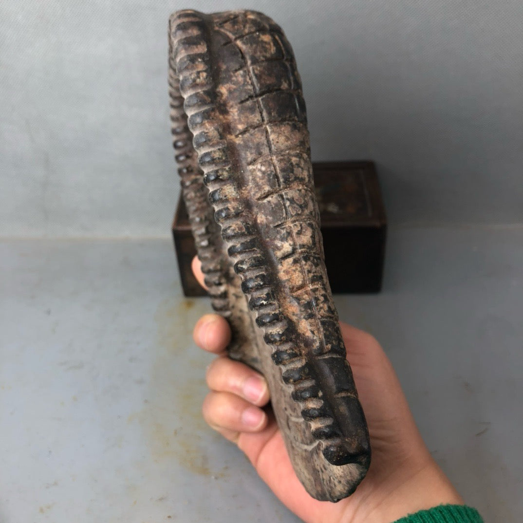 Chinese antique meteorite dustpan