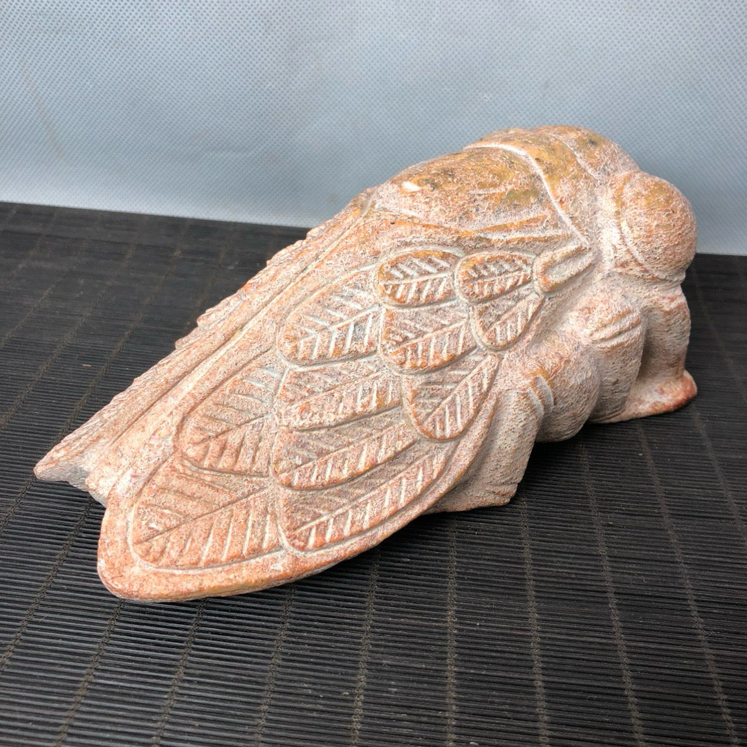 Chinese Antiques and Tian Yucicada