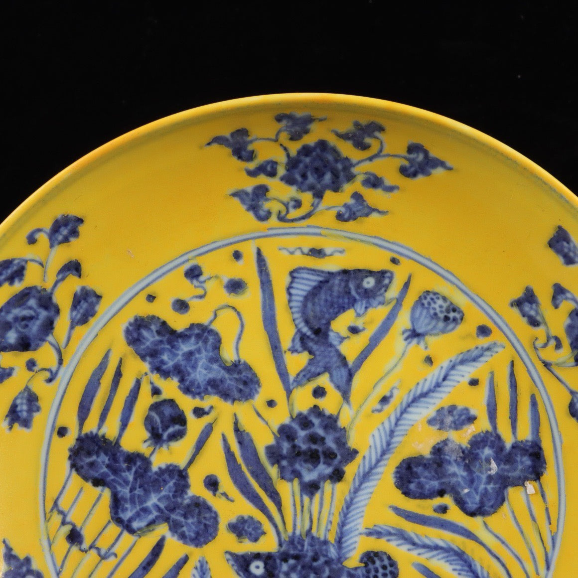 Blue and white with yellow glazed fish and algae pattern appreciation plate