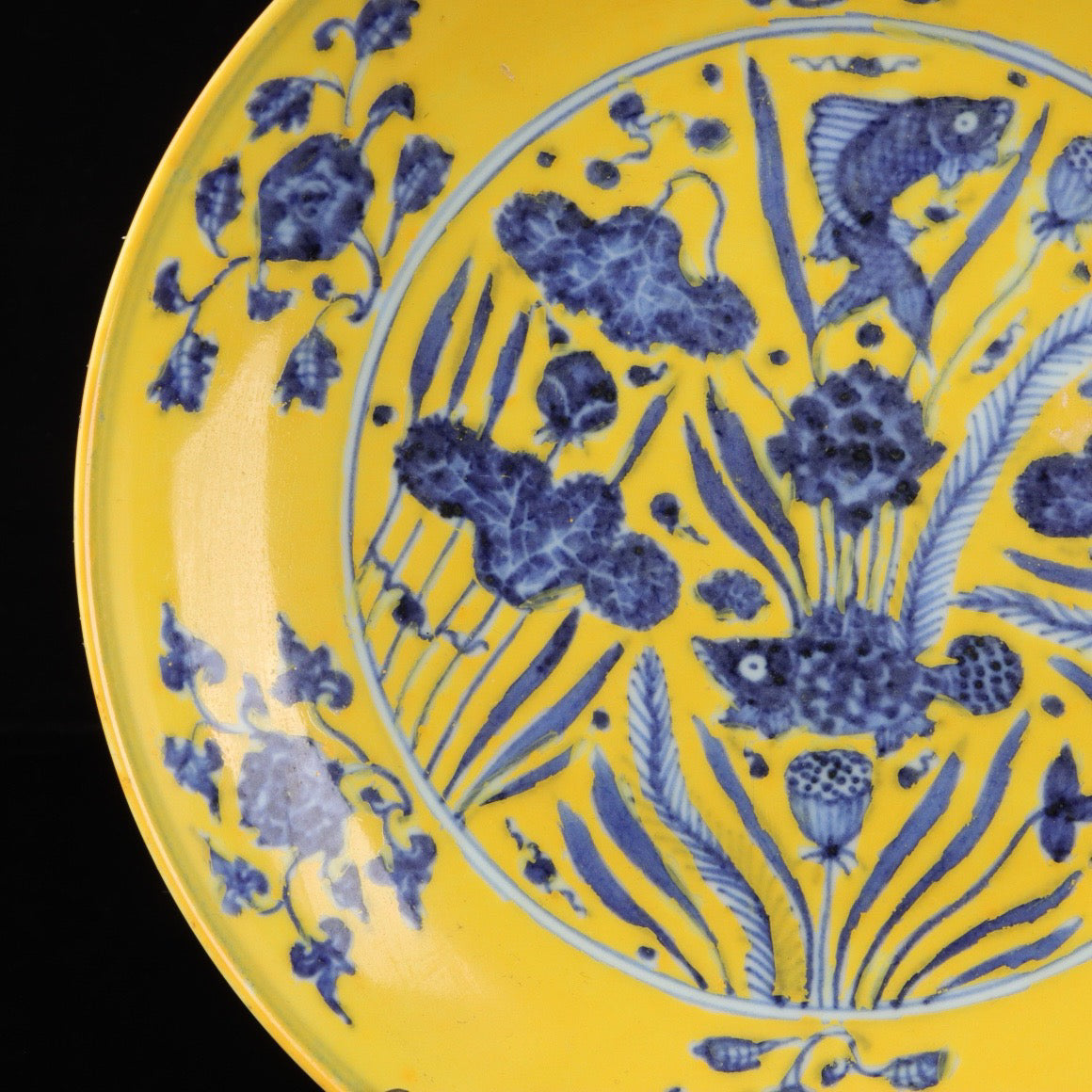 Blue and white with yellow glazed fish and algae pattern appreciation plate