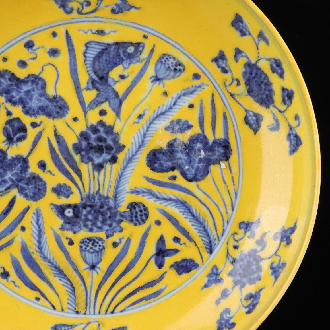 Blue and white with yellow glazed fish and algae pattern appreciation plate