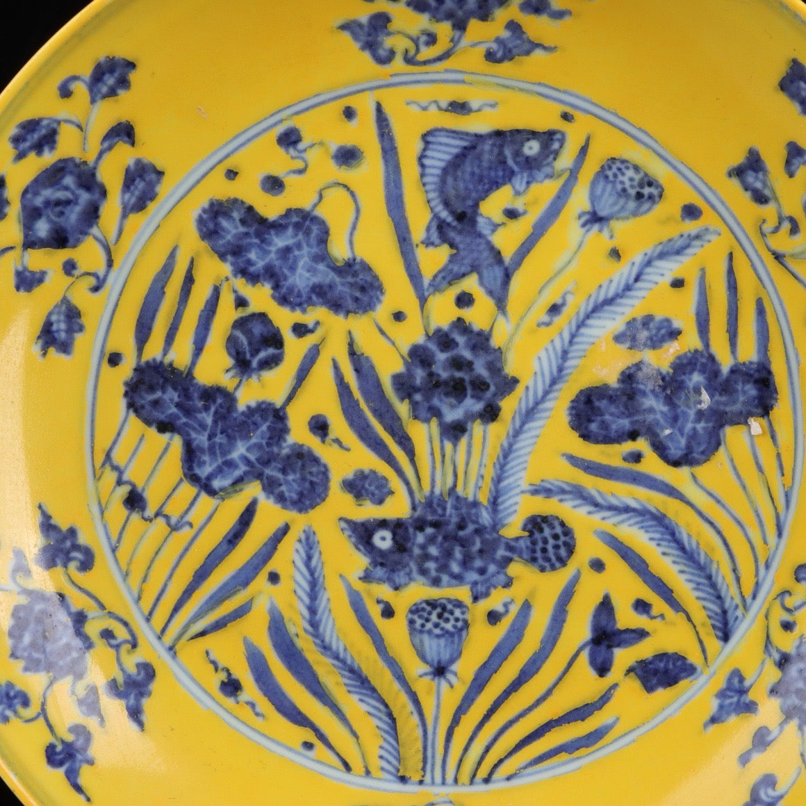 Blue and white with yellow glazed fish and algae pattern appreciation plate