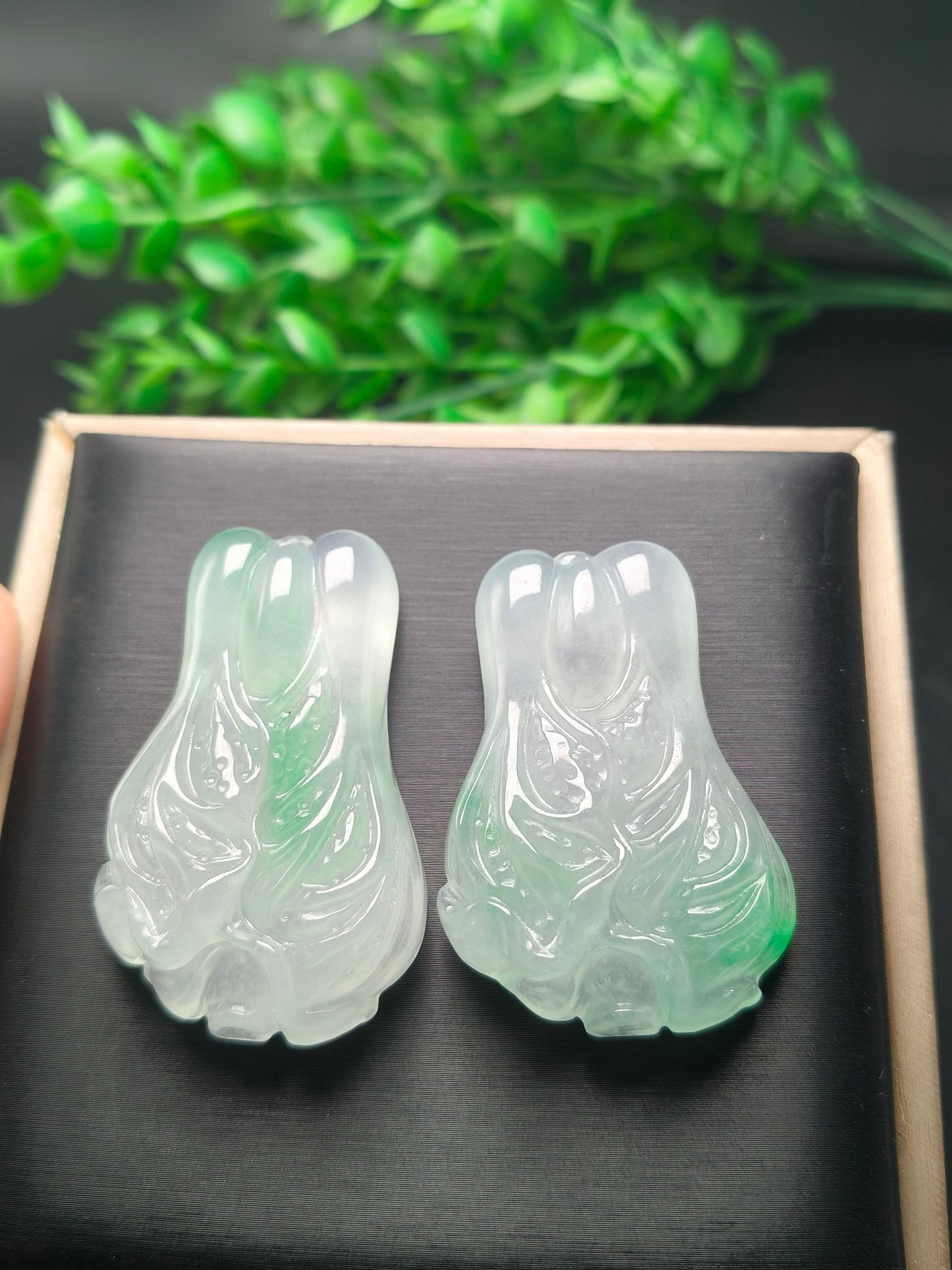 Ice floating green three-dimensional cabbage