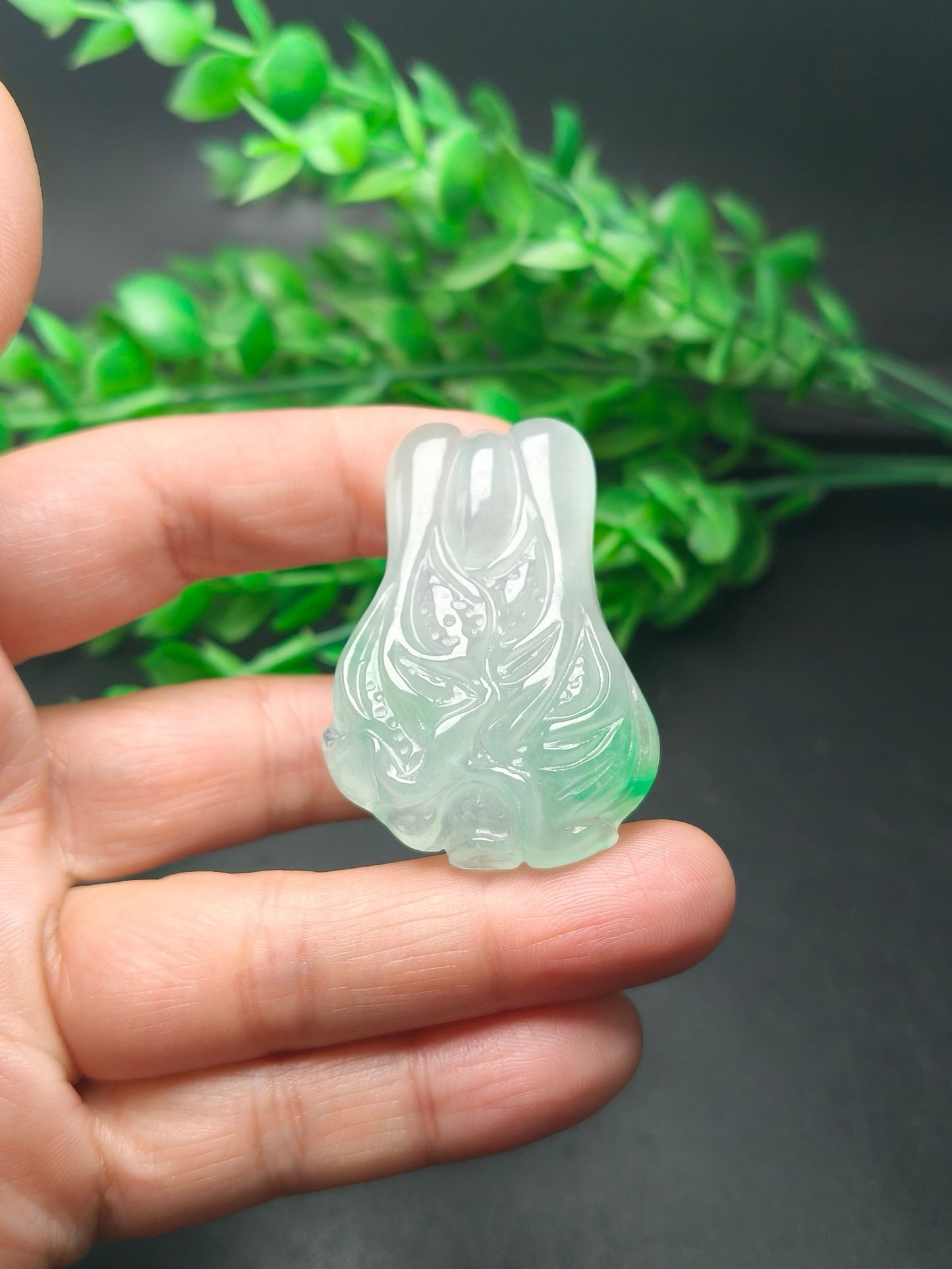 Ice floating green three-dimensional cabbage