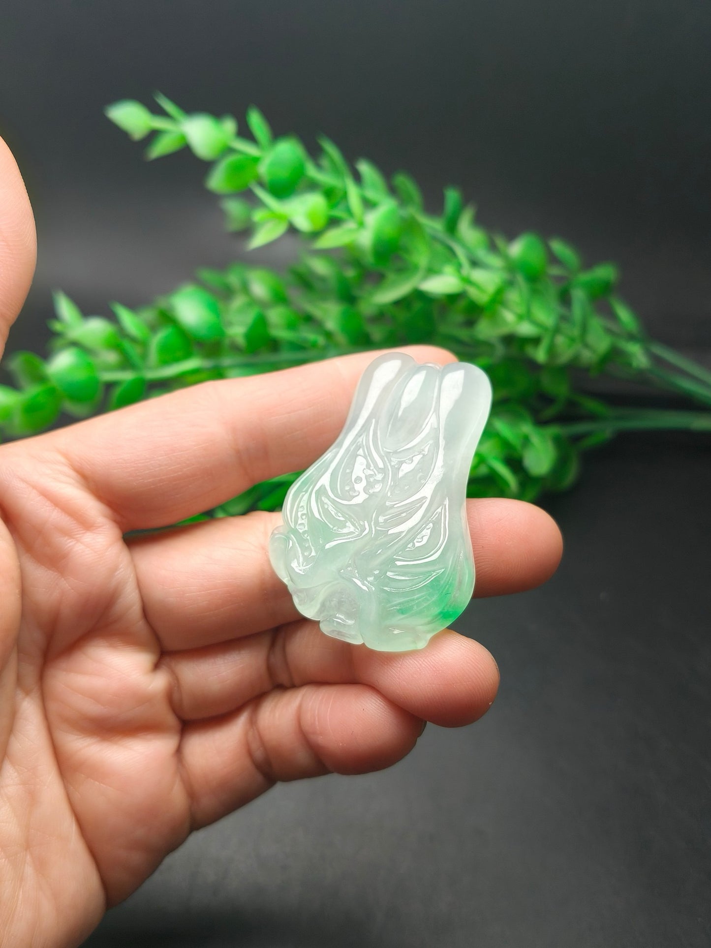 Ice floating green three-dimensional cabbage