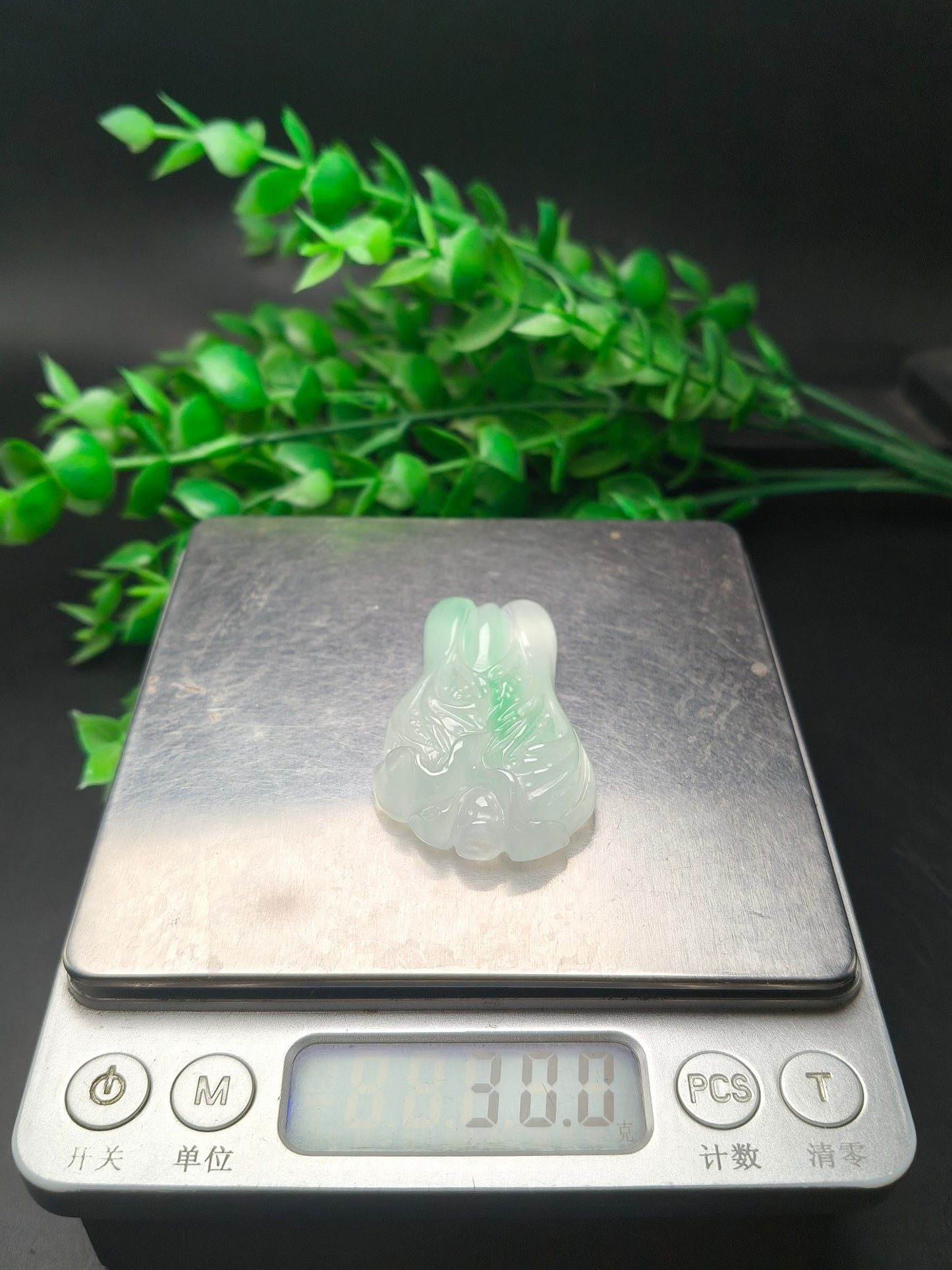 Ice floating green three-dimensional cabbage