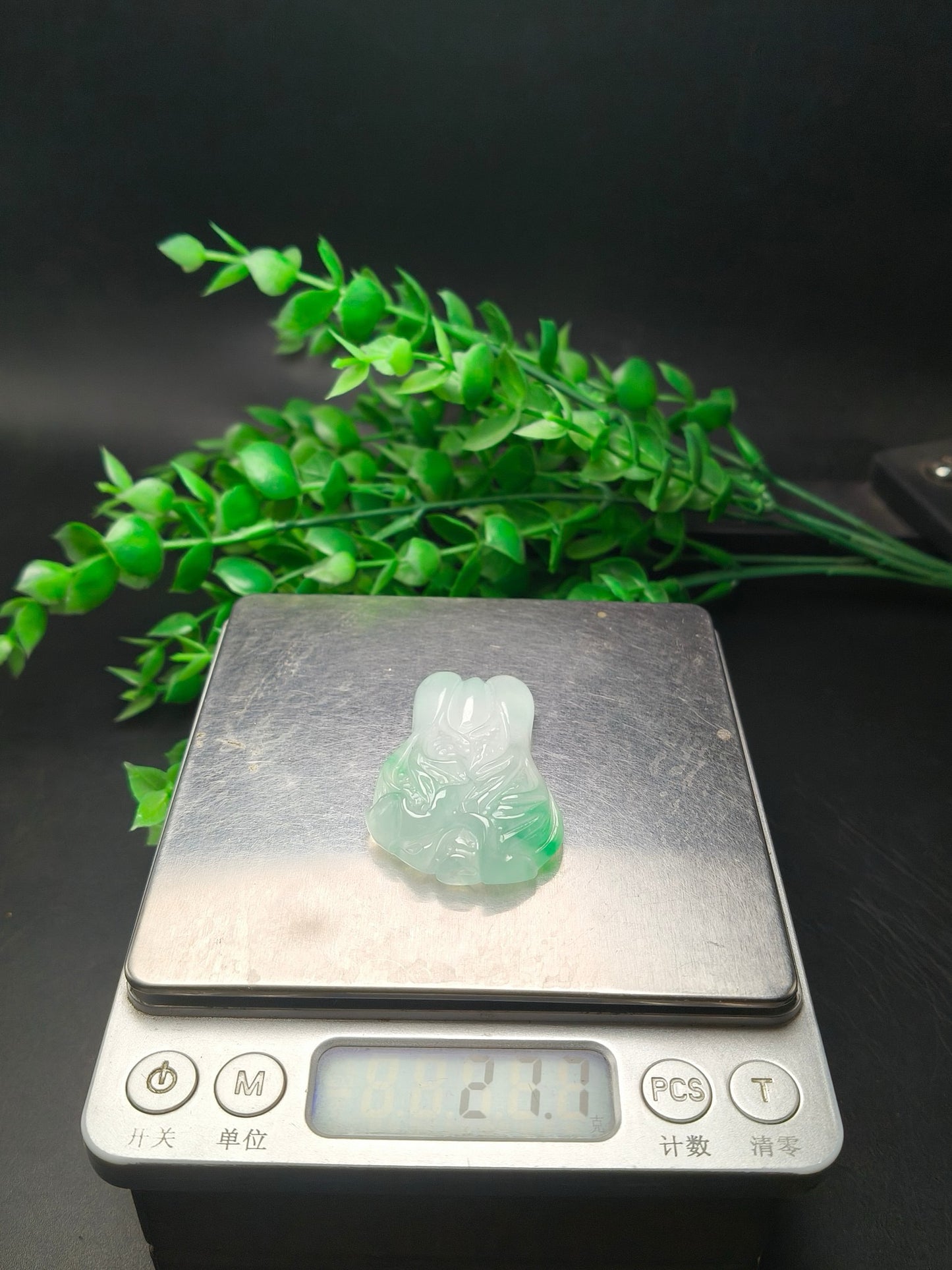Ice floating green three-dimensional cabbage