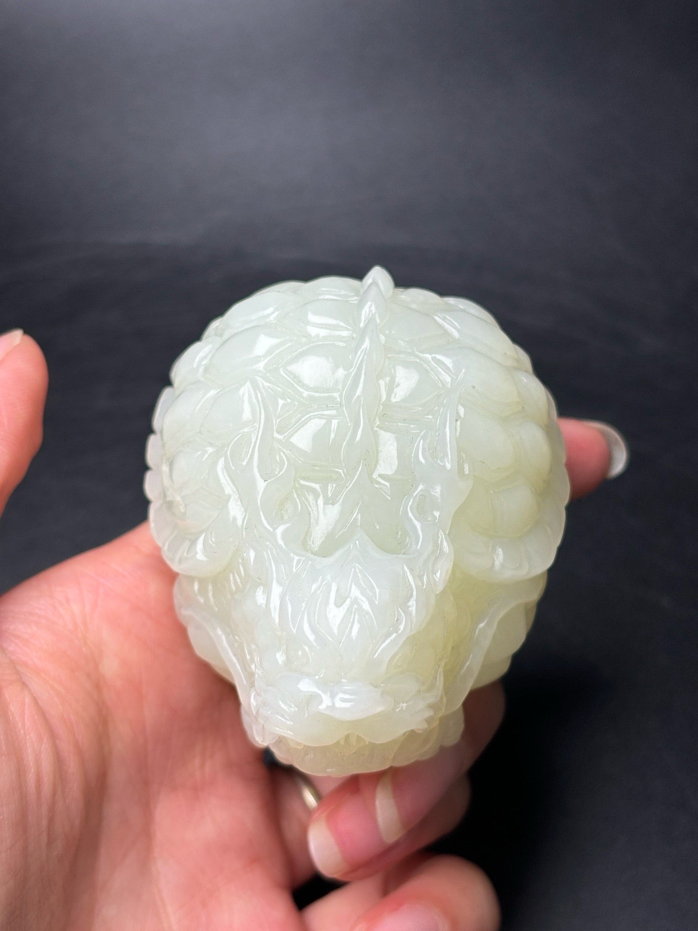 Delicate Hotan Jade Dragon Turtle