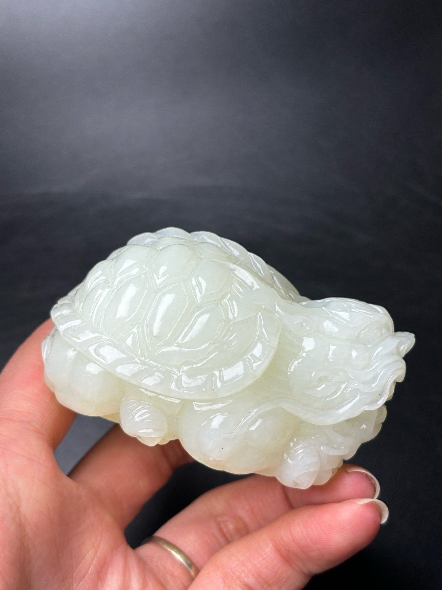 Delicate Hotan Jade Dragon Turtle