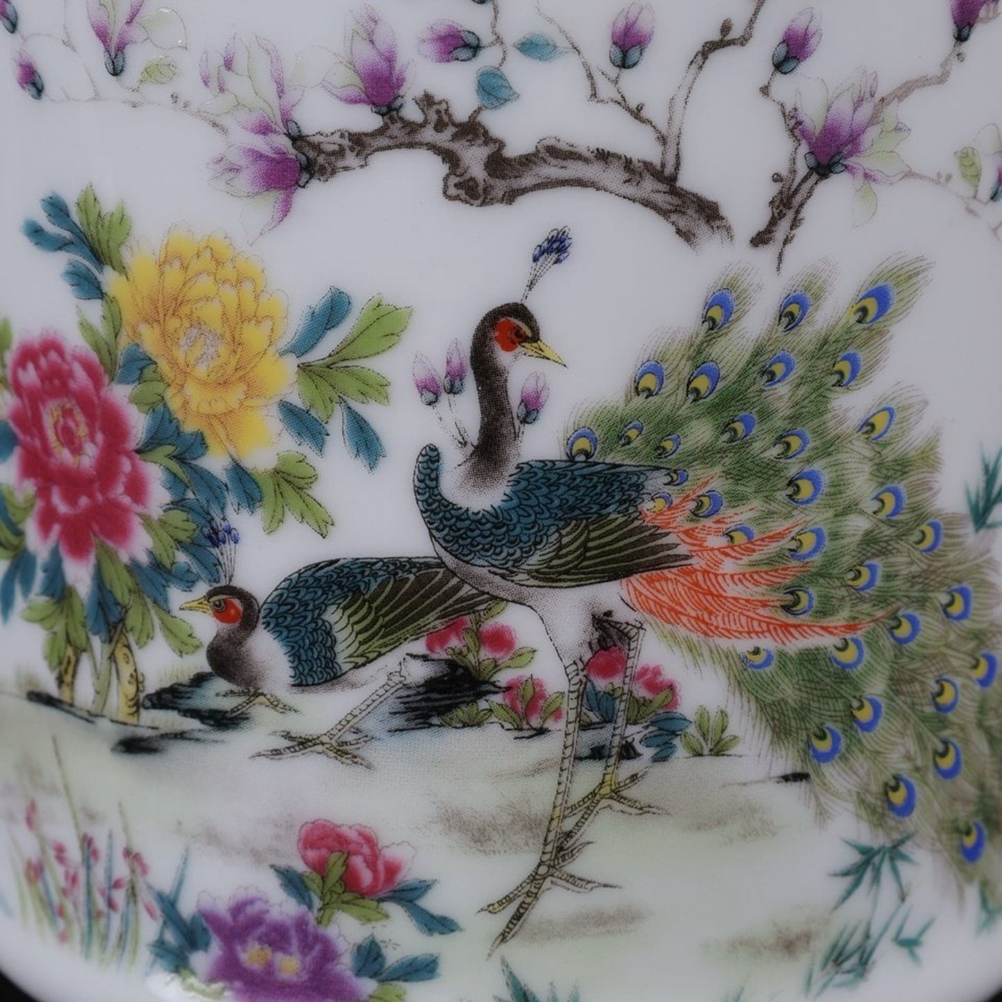 Pink Peacock Pattern Tea Jar