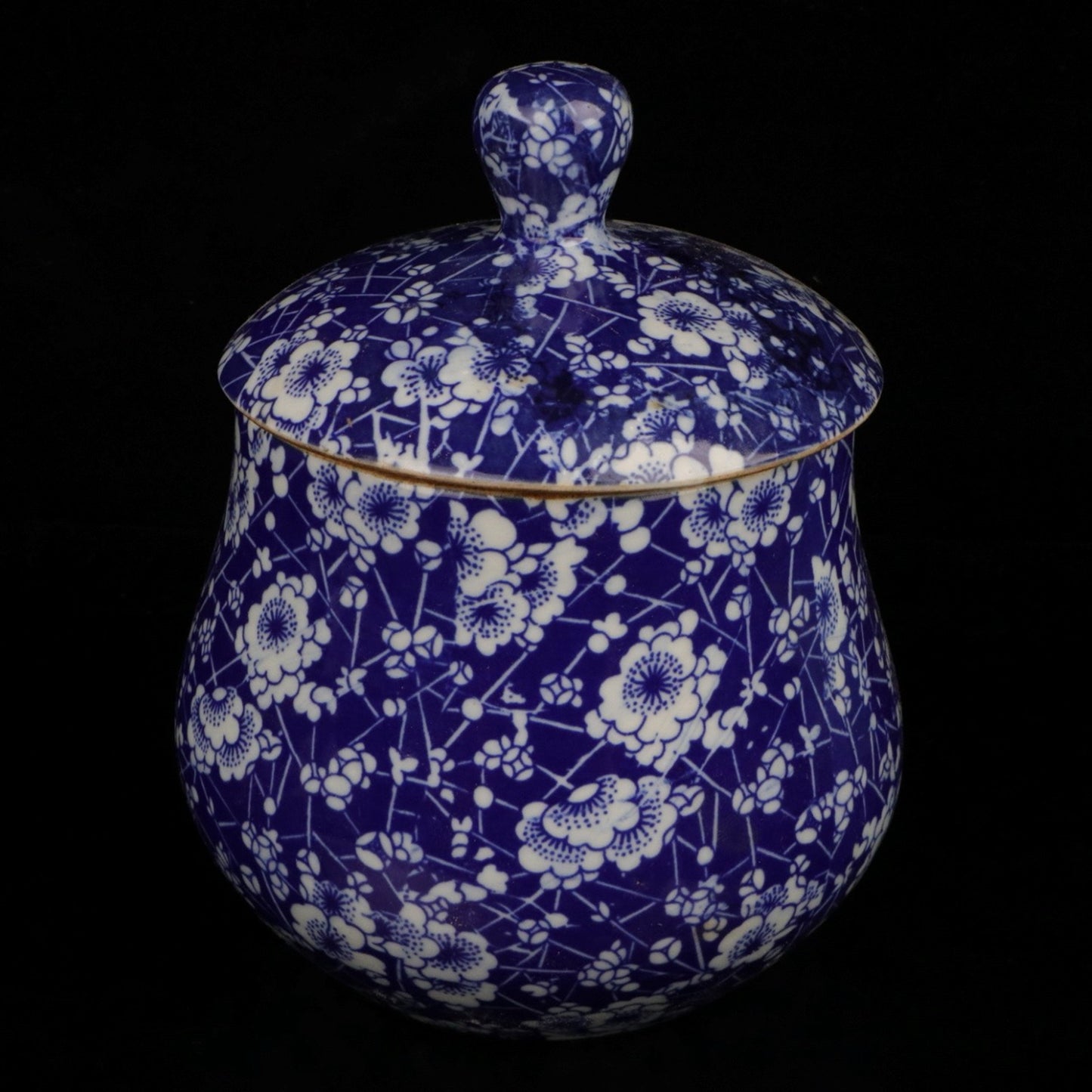 Blue and white ice plum patterned large belly lid jar