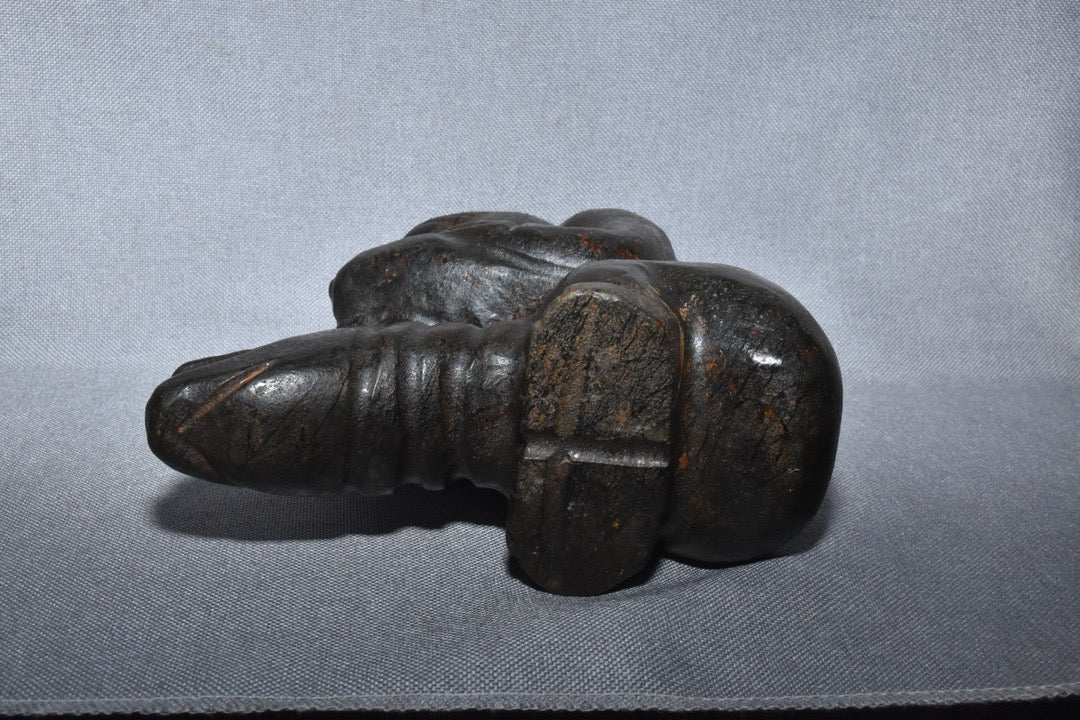 Chinese Antique Meteorite Bird