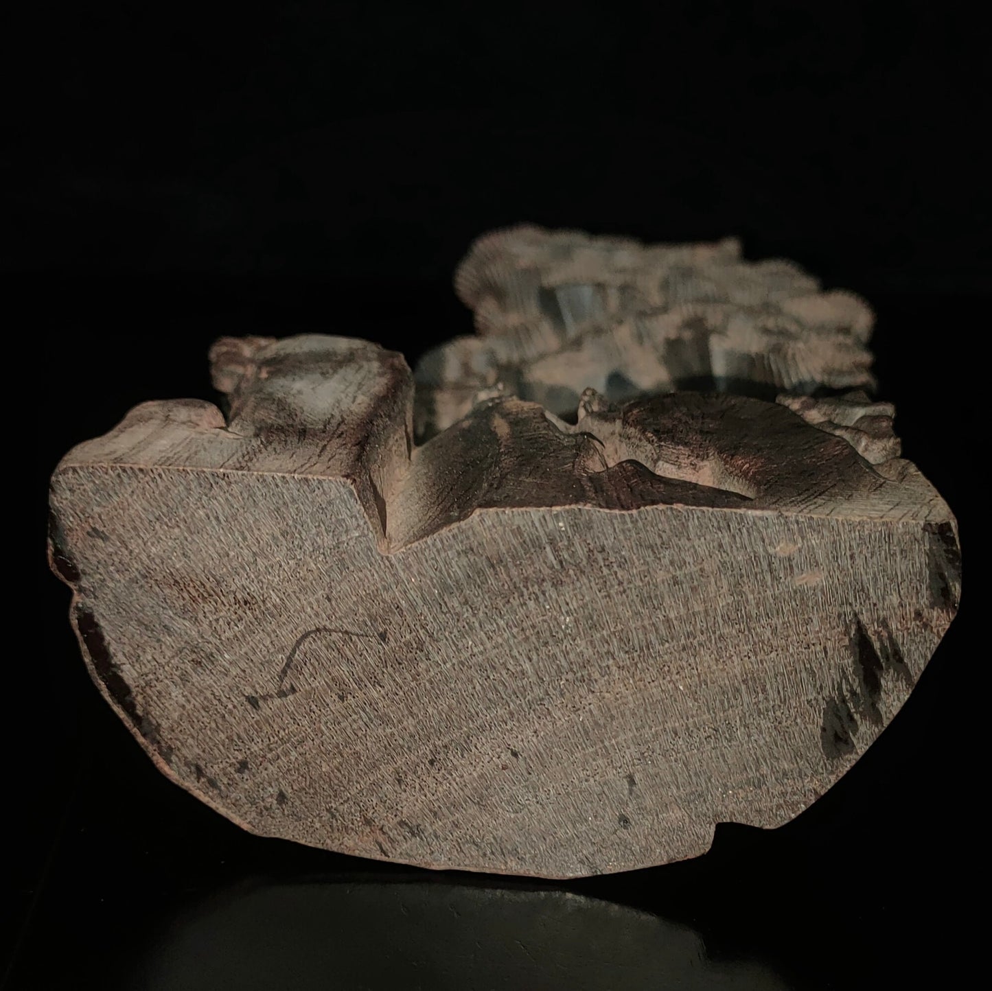 Chinese antique agarwood and Panasonic Maitreya