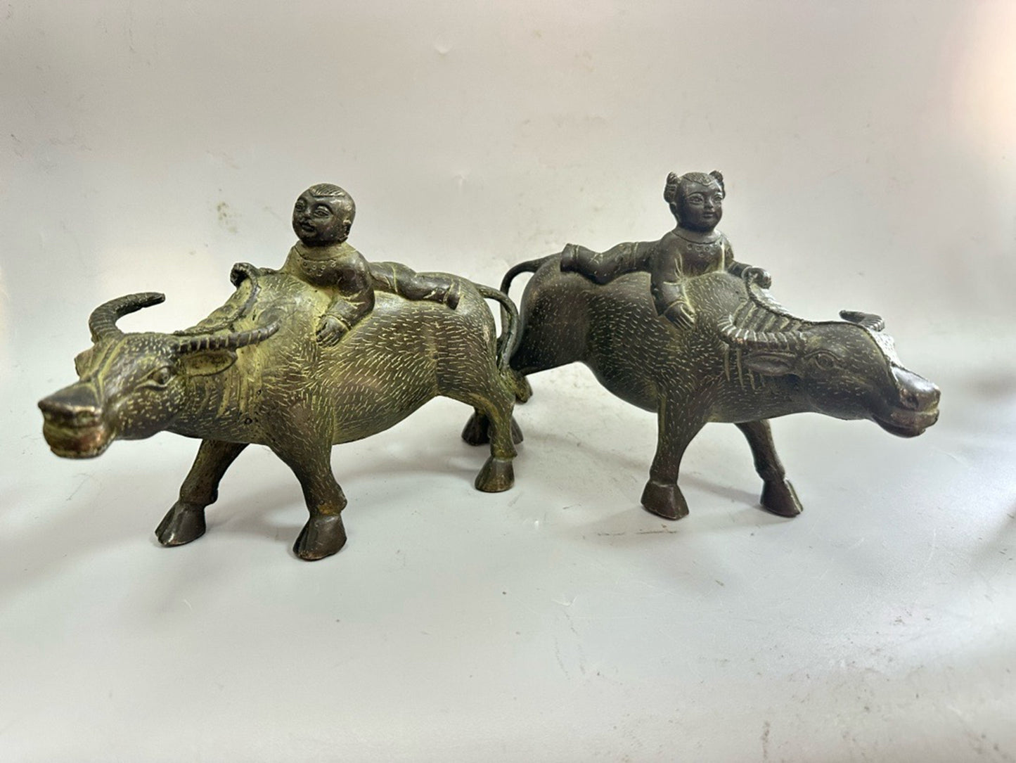 Pure Copper Boy Cow