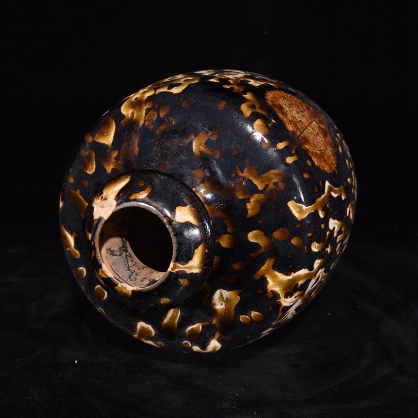 prunus vase