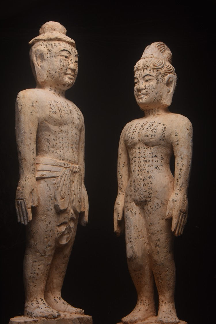 Old Fragrant Camphor Wood [acupuncture and moxibustion Man]
