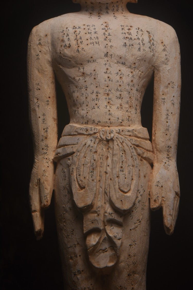 Old Fragrant Camphor Wood [acupuncture and moxibustion Man]
