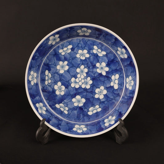 Blue and white ice plum blossom pattern appreciation plate
