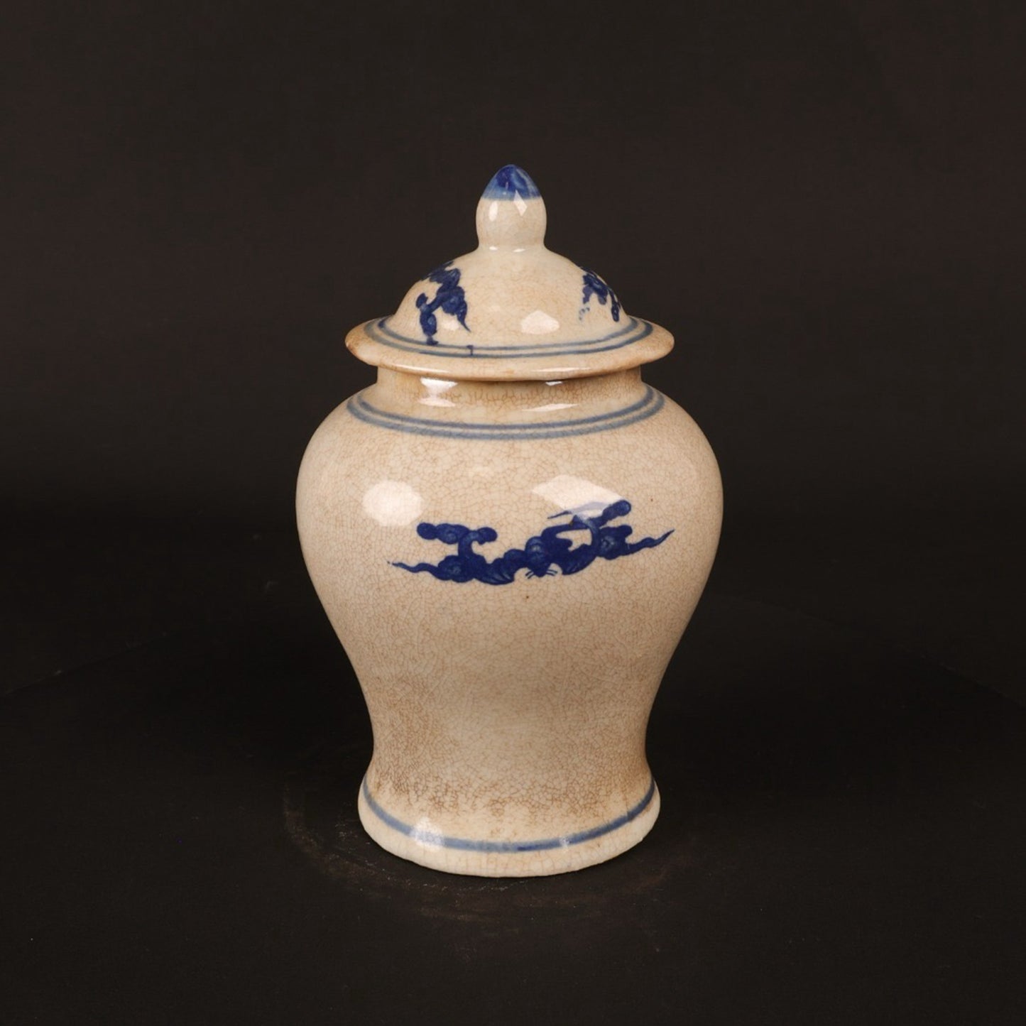 Blue and white split dragon patterned small general jar