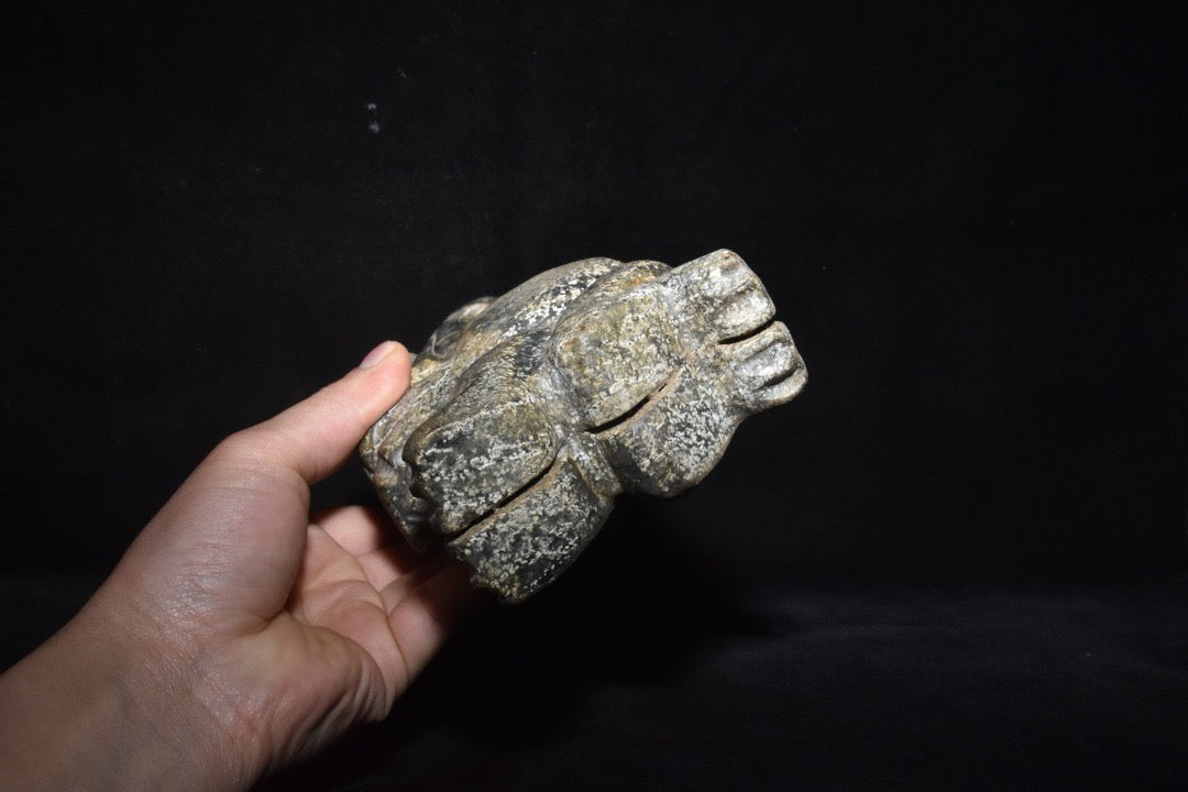 Chinese Antique Meteorite Dragon Root