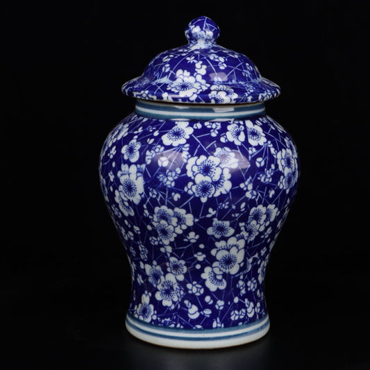 Blue and white ice plum patterned general jar