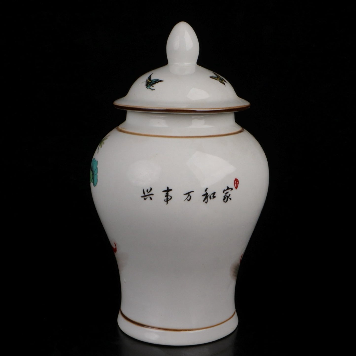 Blue and White Home and Wanshixing Pattern General Jar