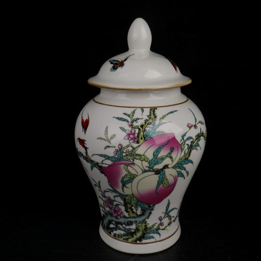 Blue and white longevity double full pattern general jar