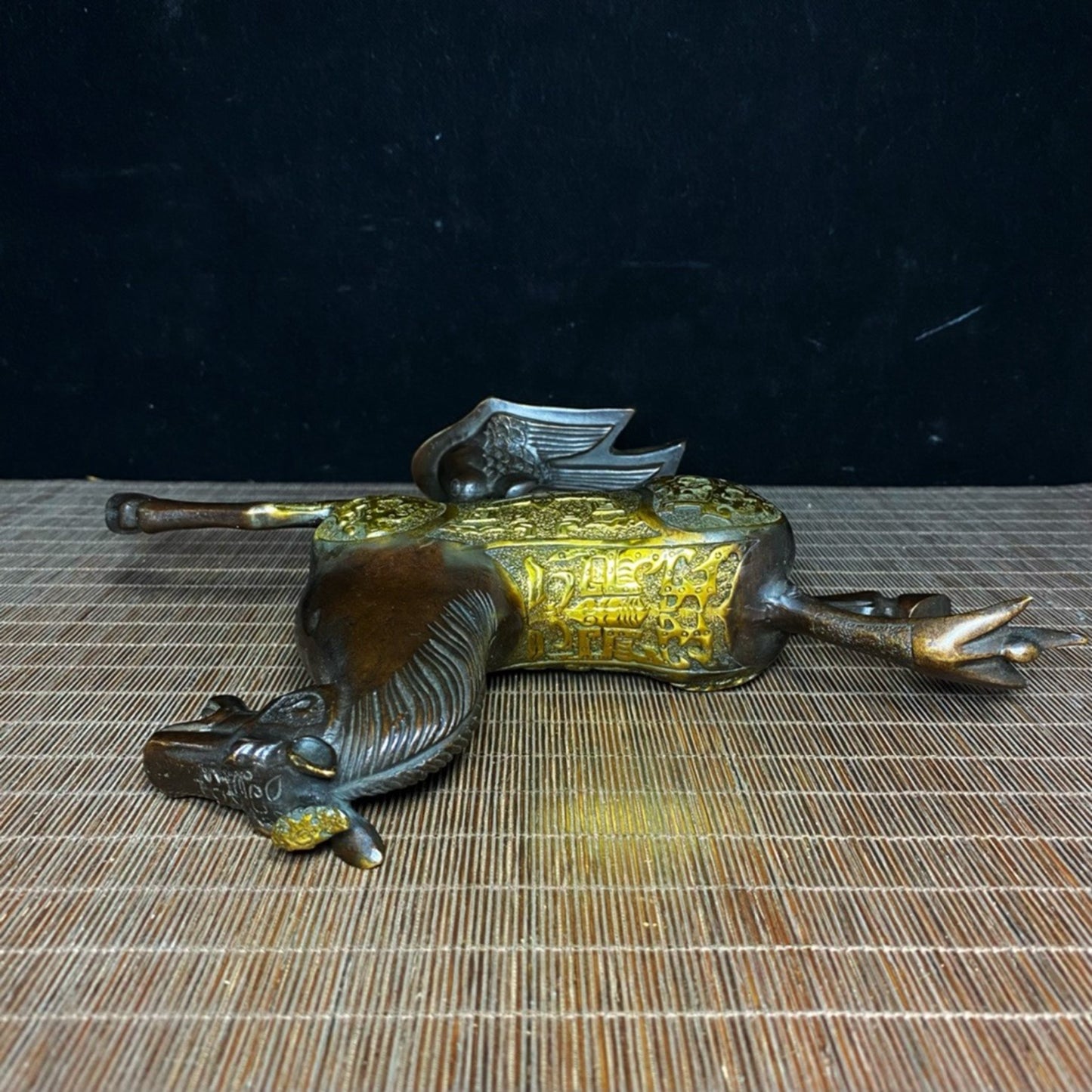Pure copper male and female carrier pigeons