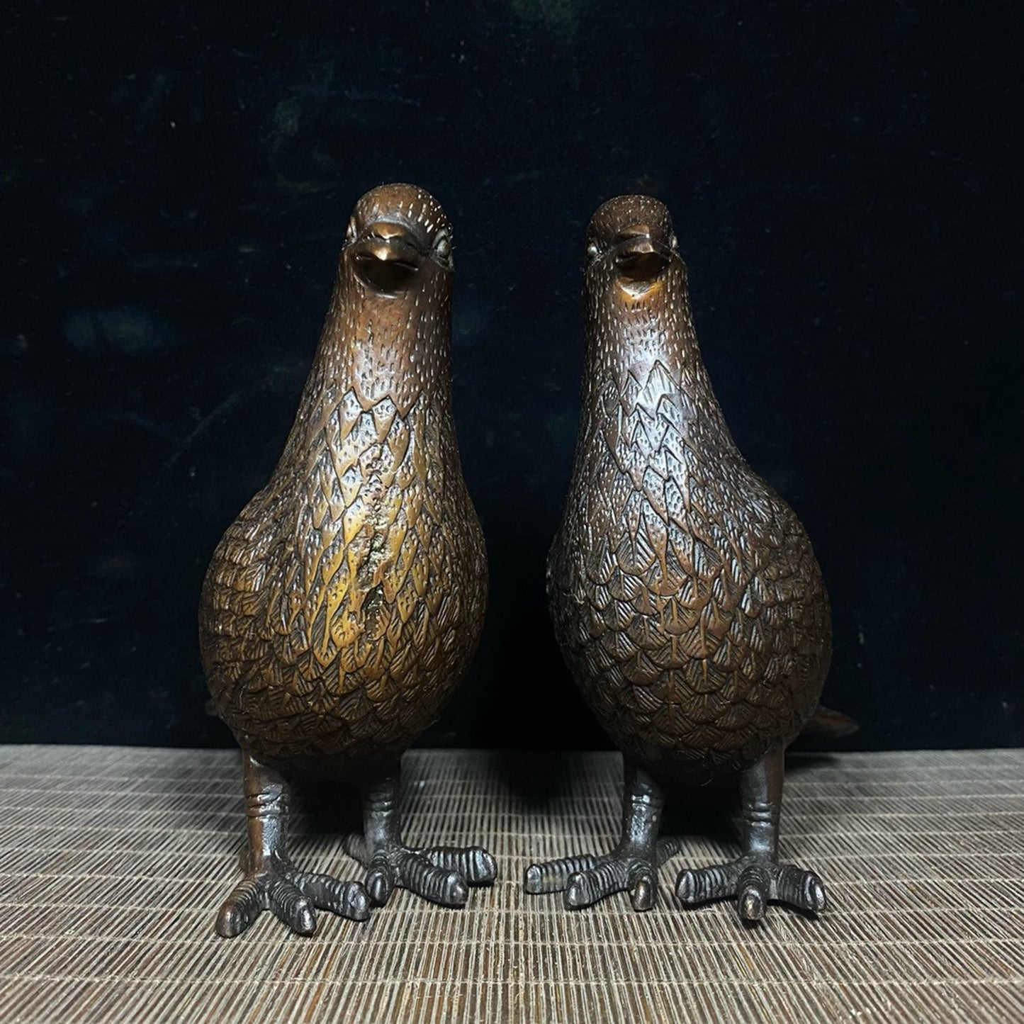Pure copper male and female carrier pigeons