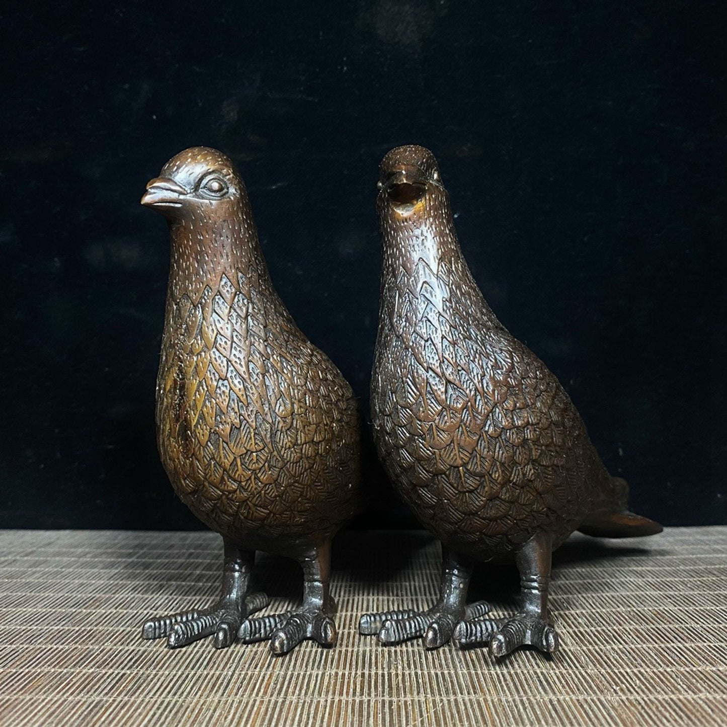 Pure copper male and female carrier pigeons