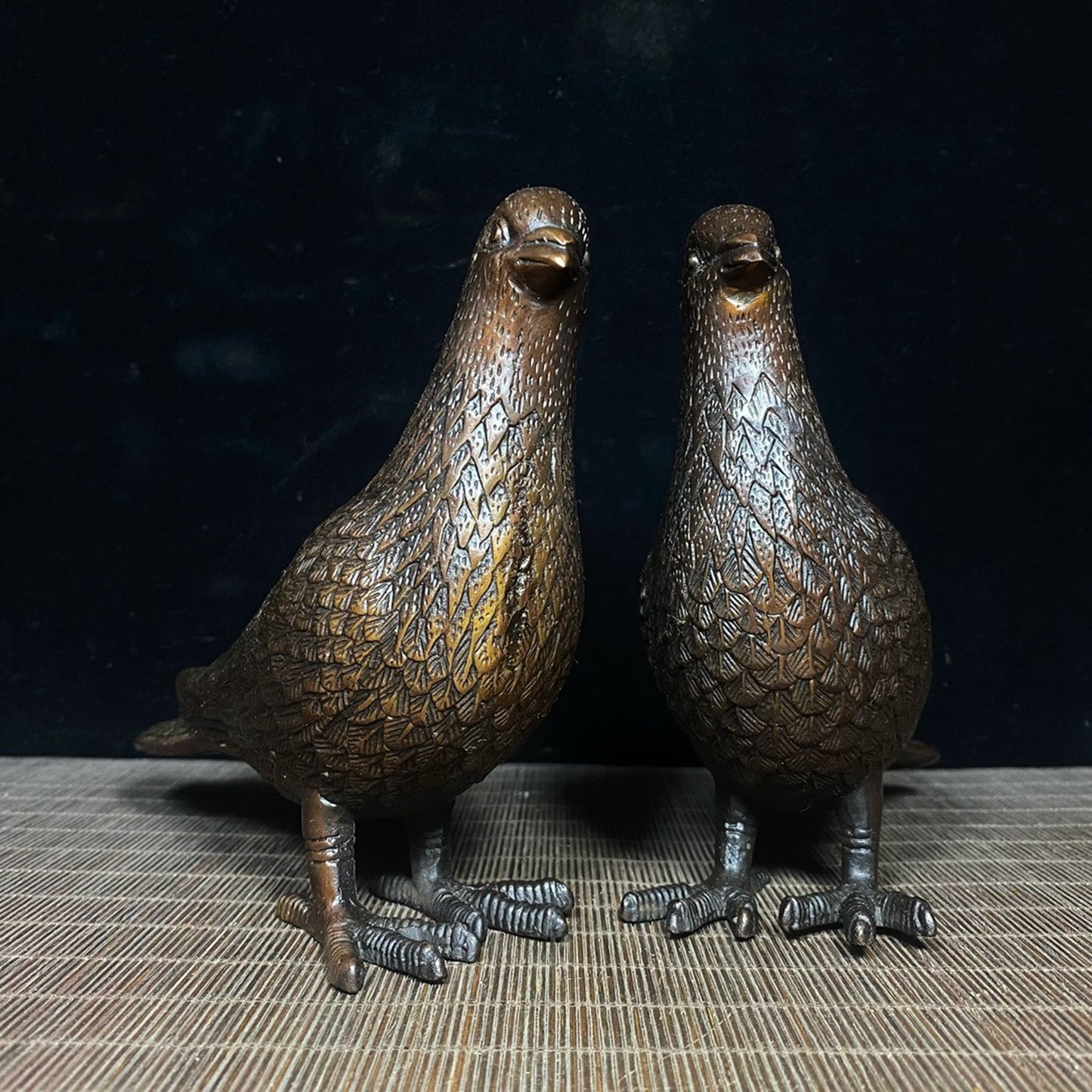 Pure copper male and female carrier pigeons
