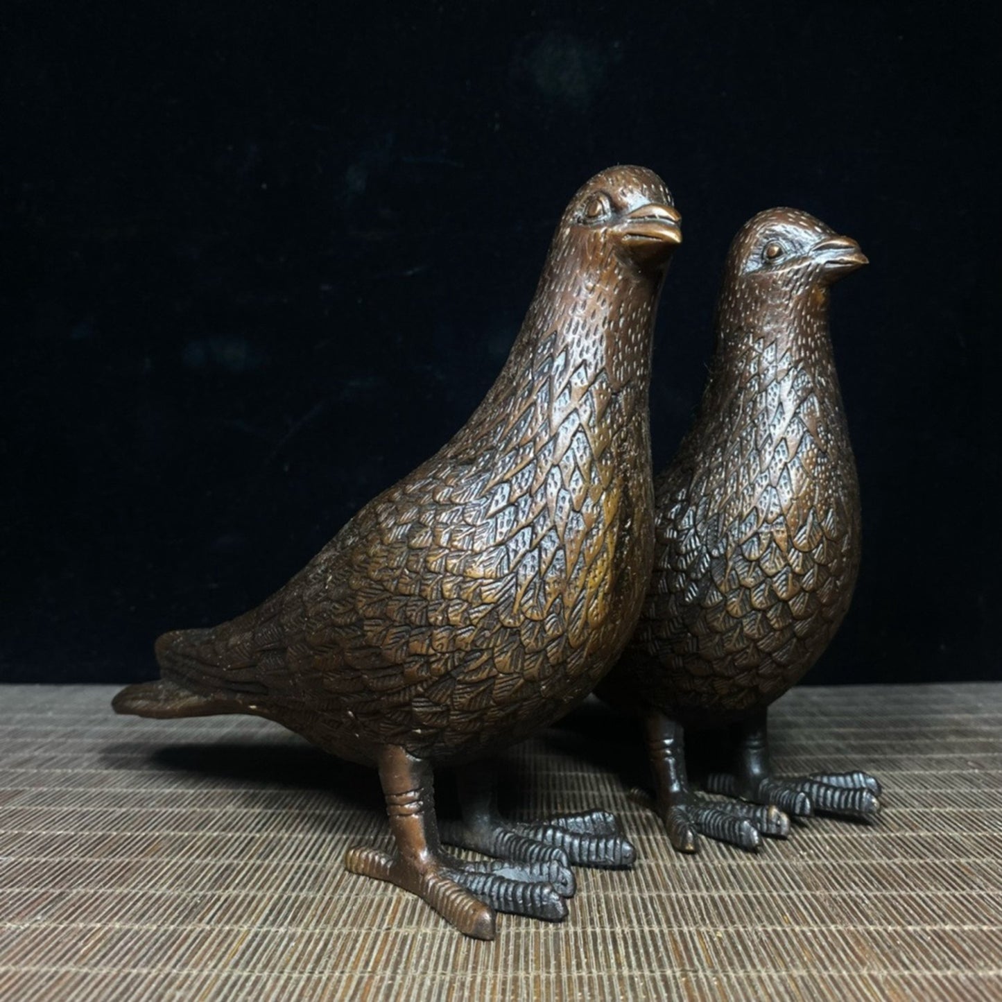 Pure copper male and female carrier pigeons