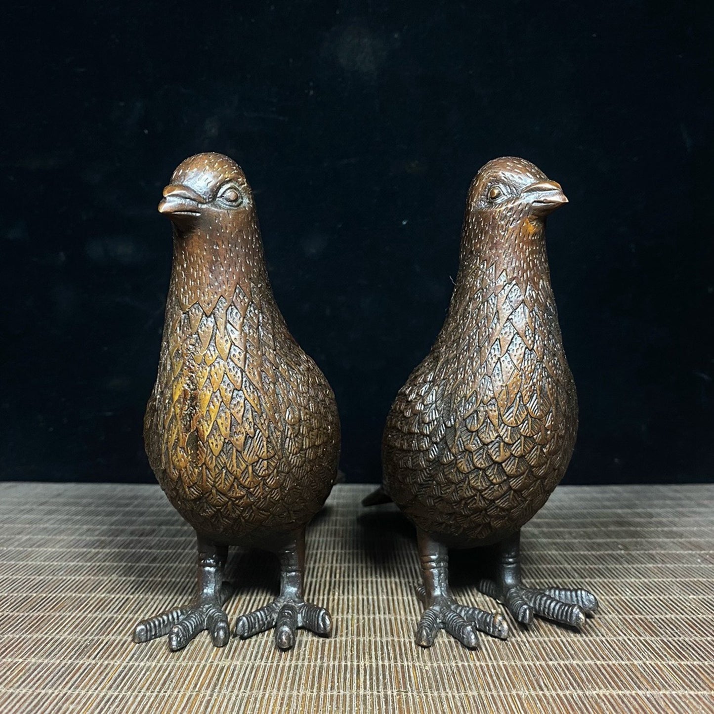 Pure copper male and female carrier pigeons
