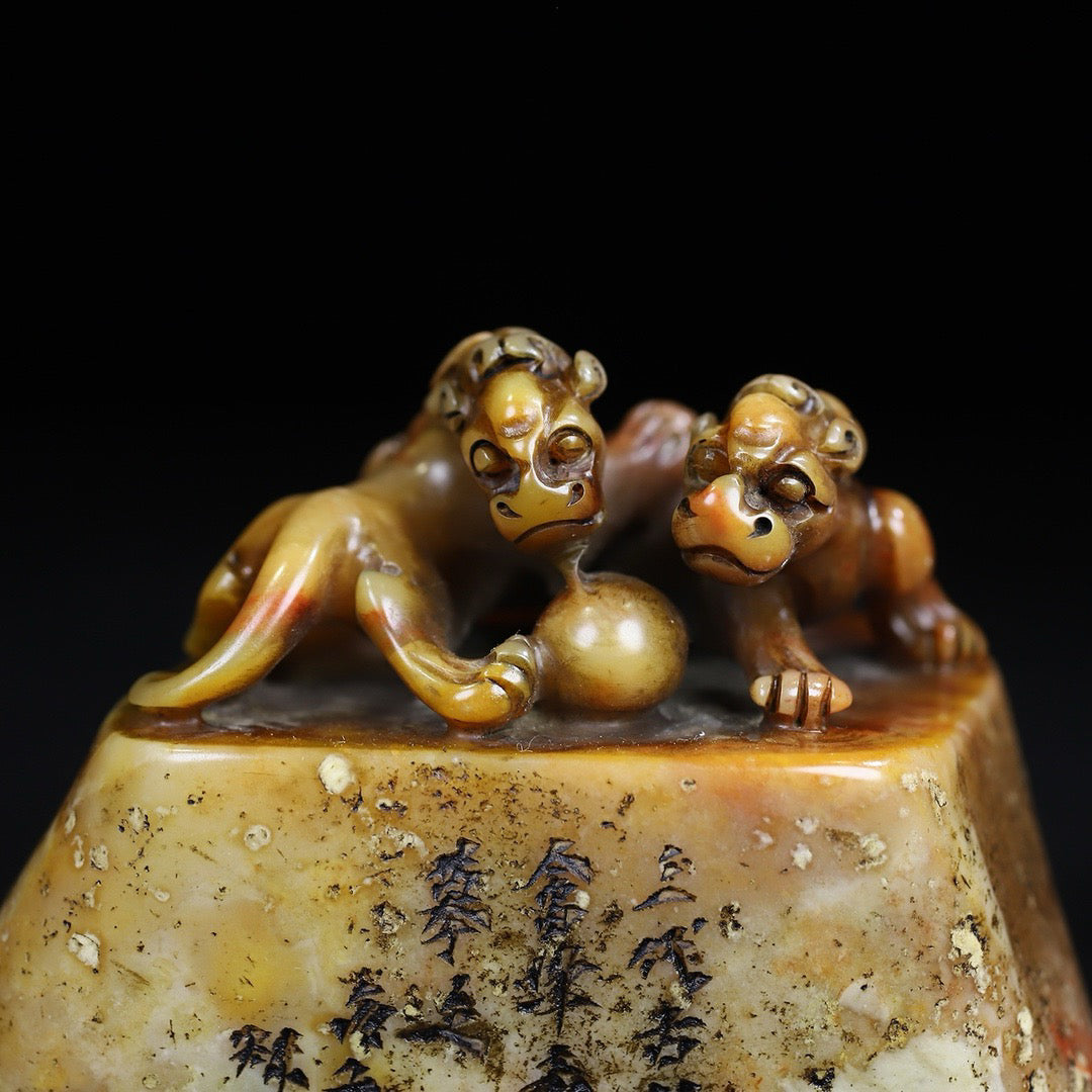 Shoushan Shiyuan Shichi Tiger Dragon Seal