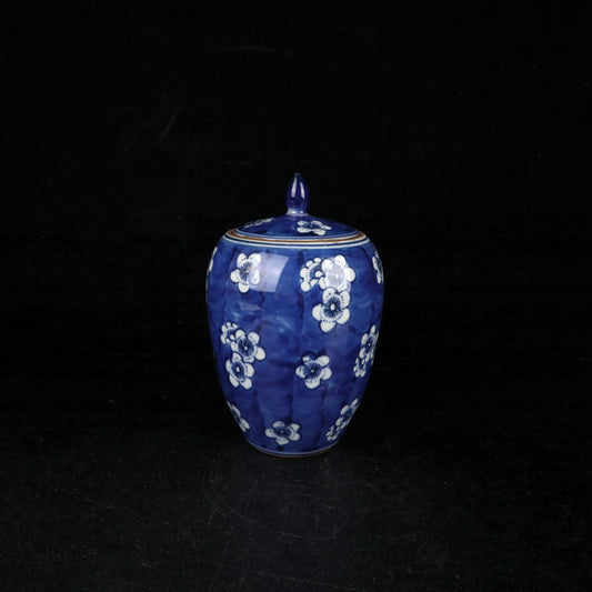 Blue and white ice plum patterned small winter melon jar