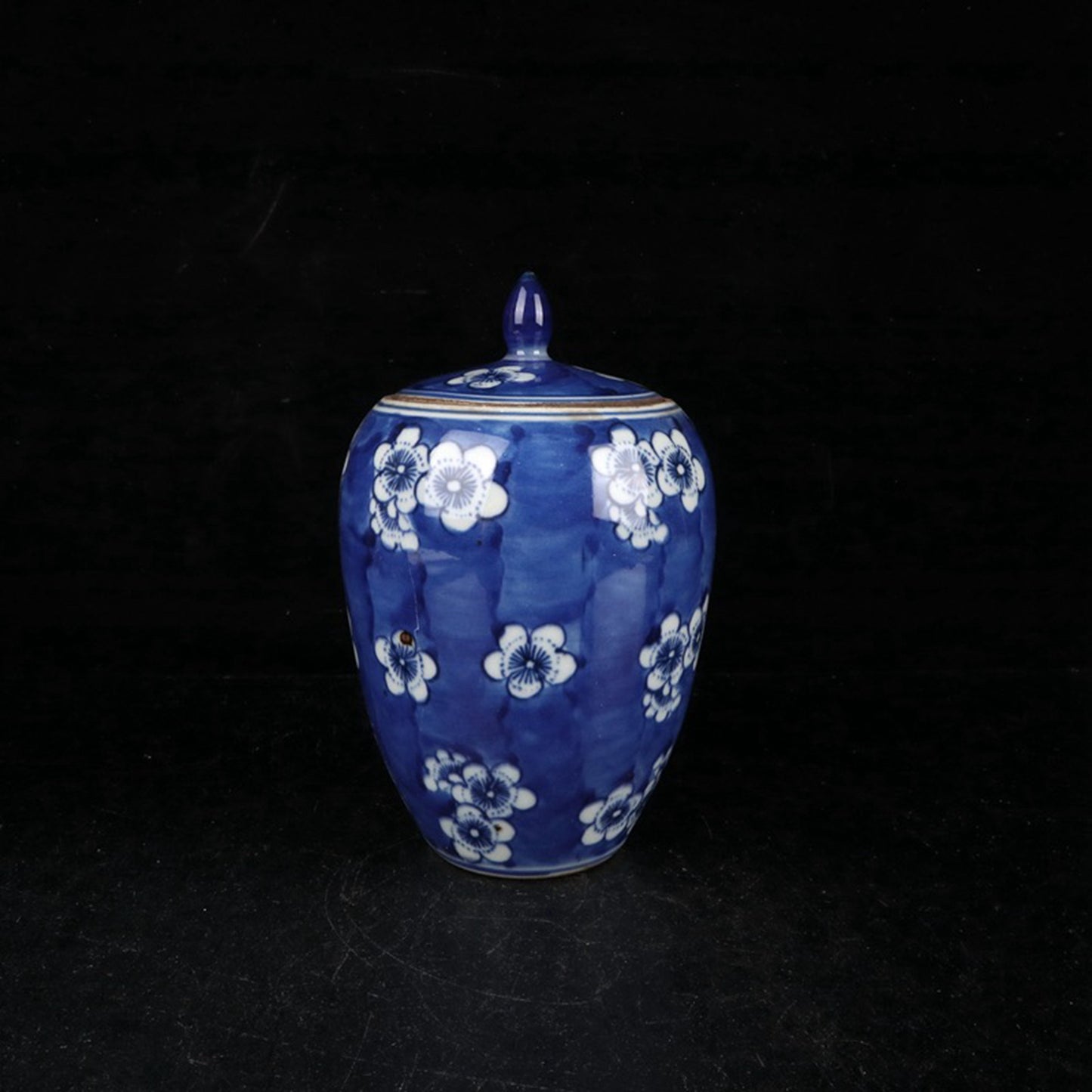 Blue and white ice plum patterned small winter melon jar