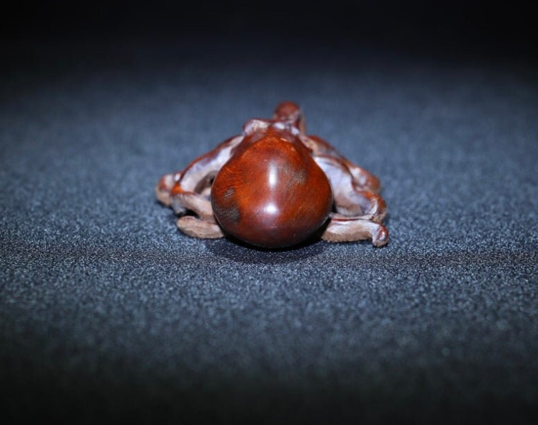 Chinese antique natural boxwood Octopus statue is pure hand carved, precious and exquisite, which is worth collecting